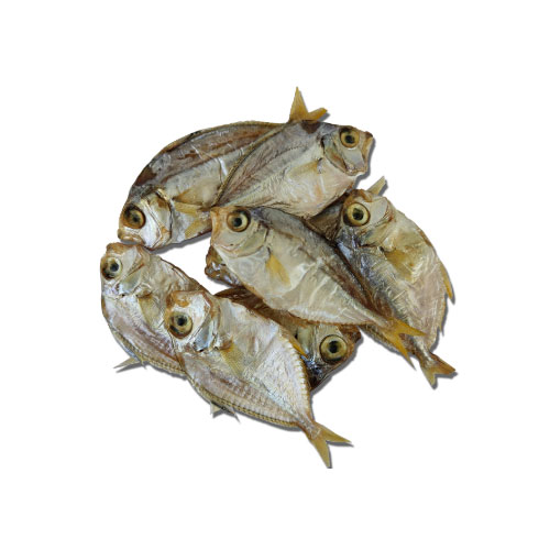 Dried Fish Dried Fish