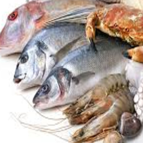 Marine Products Marine Products