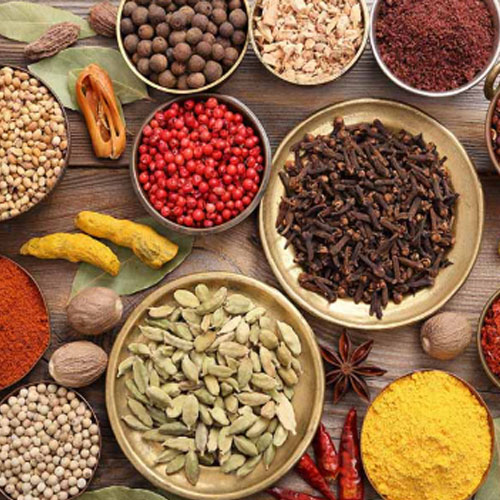 Ready Spices Ready Spices