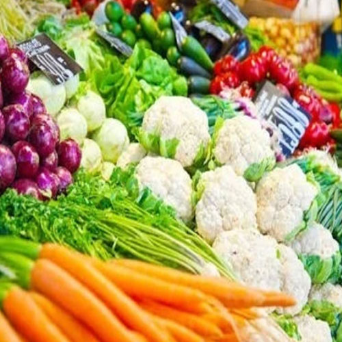 Reguler Veg Reguler Veg